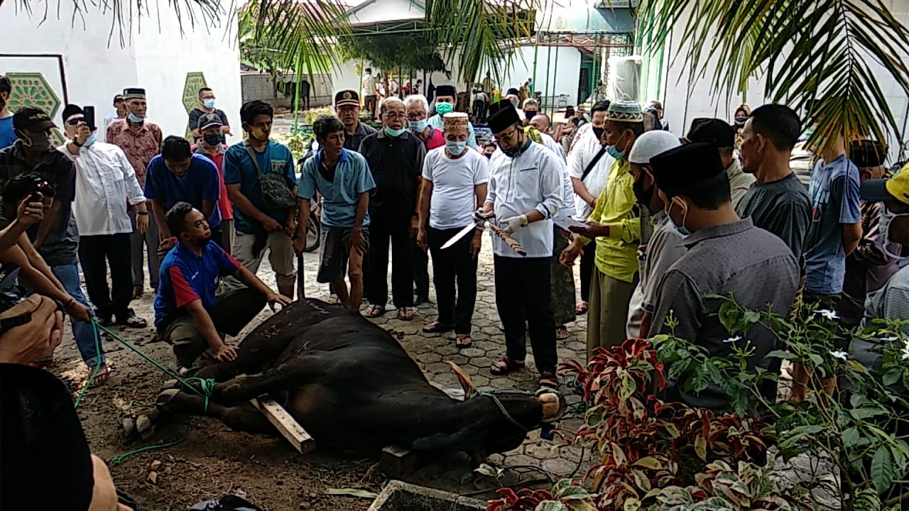 Penyembelihan Hewan Qurban Di masjid Assa'i