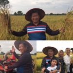 Susno Duadji bersama anak dan cucu sedang melakukan panen padi diareal pertanian miliknya