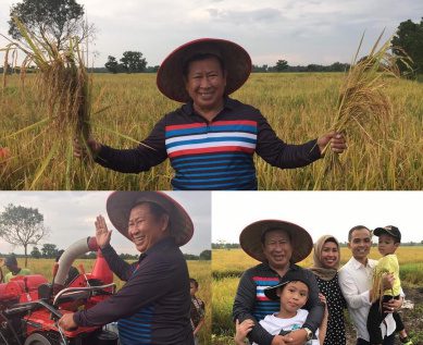 Susno Duadji bersama anak dan cucu sedang melakukan panen padi diareal pertanian miliknya